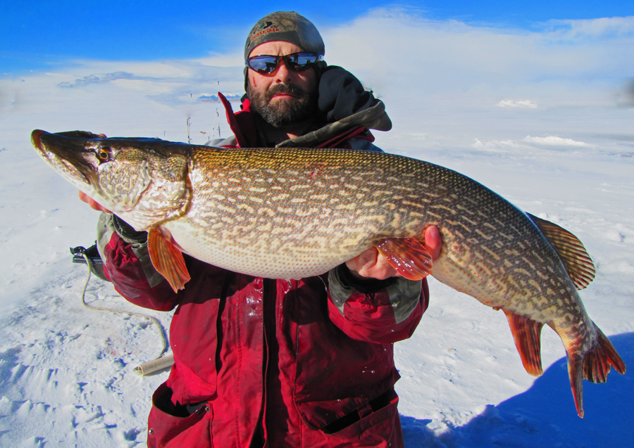 Trophy Pike Colorado Ice Fishing