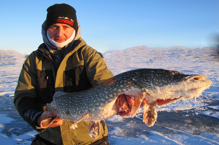 Ice Fishing Pike in Colorado